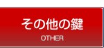 ���̑��̌��g���u��